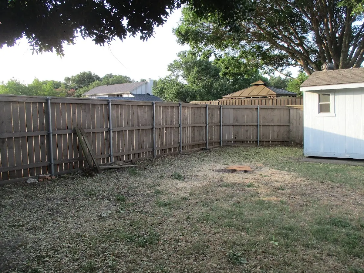 Cleared yard after professional tree removal in Bovina